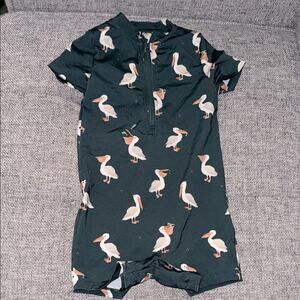 Petite lem Boys Pelican Rashguard/Swimsuit 6-12 months
